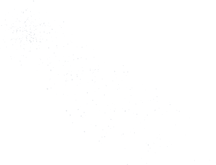 Snow particle 1